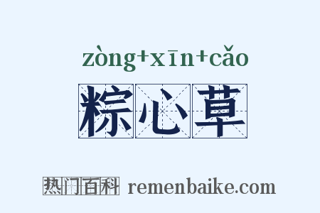 粽心草是什么意思的图片